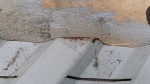 Течь по ендовой.