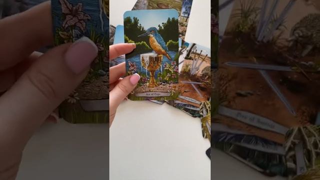 ОБЗОР КОЛОДЫ Animal Totem Tarot смотреть онлайн
