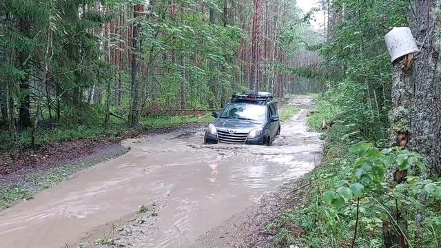 Глубокая лужа на дороге вдоль Унжи за Колохтой смотреть онлайн