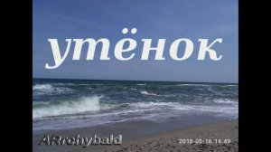 Утёнок ,  ( Александр Чёрный. стихи ) Что ты тискаешь утенка?