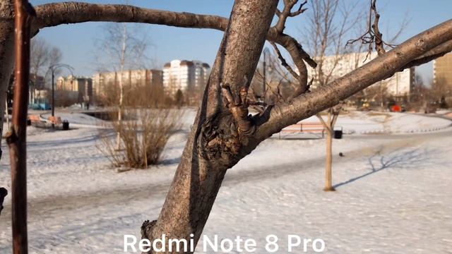 Samsung Galaxy S20 Ultra vs Redmi Note 8Pro Camera Test смотреть онлайн