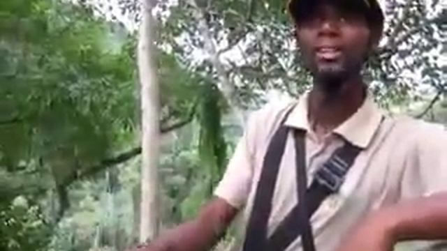 Drakensberg Canopy Tour, South Africa смотреть онлайн