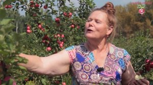 Обзор сортов полукультурок на примере урожая #urozhainye_gryadki