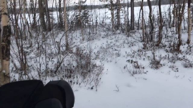 г. Сегежа, Новый пляж, Тайга Варяг 550 V Limited смотреть онлайн