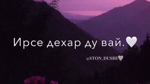 Аслан Вахаев- ара яла Хеда смотреть онлайн