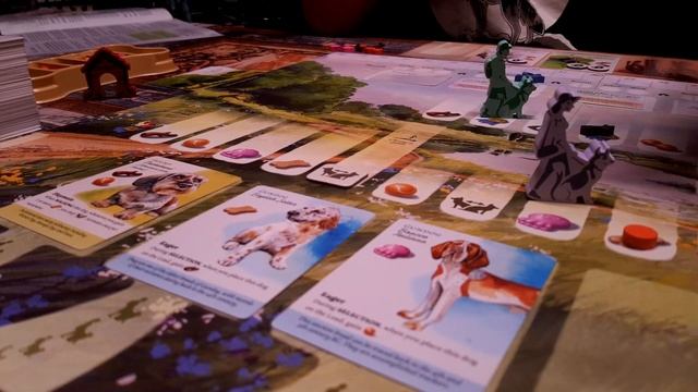 Barking Birthday Fun: We Play The Board Game 'Dog Park' To Celebrate Dexter's 2nd Birthday. Walkies смотреть онлайн