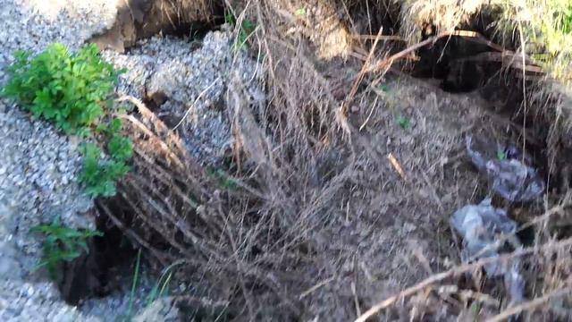 Шелеховское муниципальное кладбище смотреть онлайн