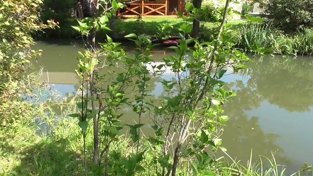 Экскурсия по усадьбе. Макушка лета..mp4 смотреть онлайн