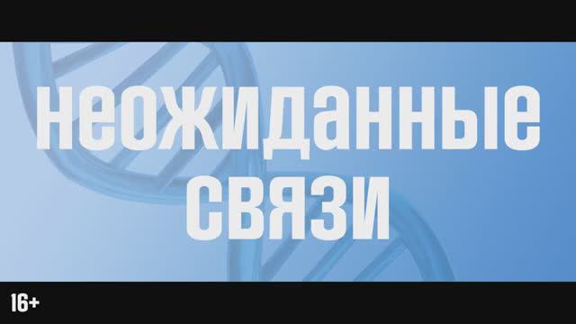 Неожиданные связи (2024) смотреть онлайн