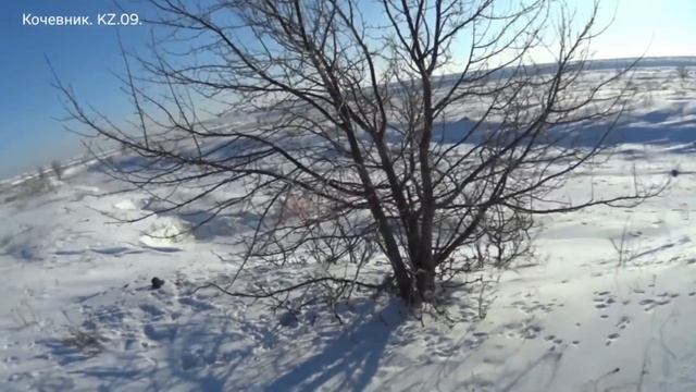 #Охота на зайца-русака. " 1:0 " в пользу матёрого. смотреть онлайн