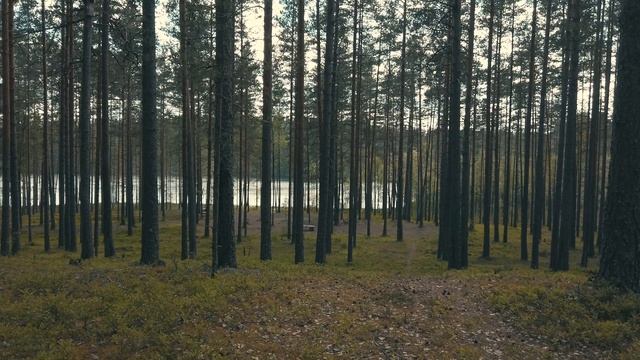 Гряда Вярямянселькя - грунтовый мир озер и песчаных холмов смотреть онлайн