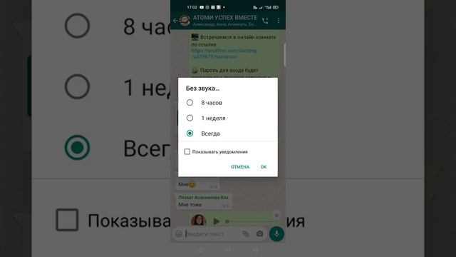 Как убрать уведомления и сообщения без звука в чате WhatsApp #АннаКопылова смотреть онлайн
