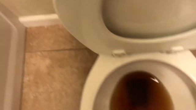 Flushing Coffee Down a Gerber Viper Toilet смотреть онлайн