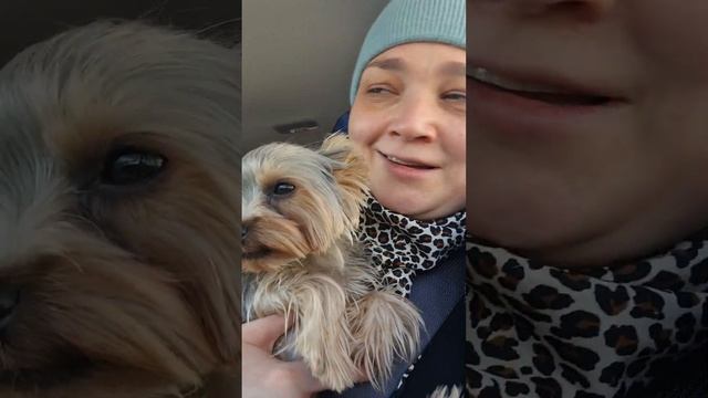 Реакция на имя Тося и поездка к Тоси в гости. смотреть онлайн