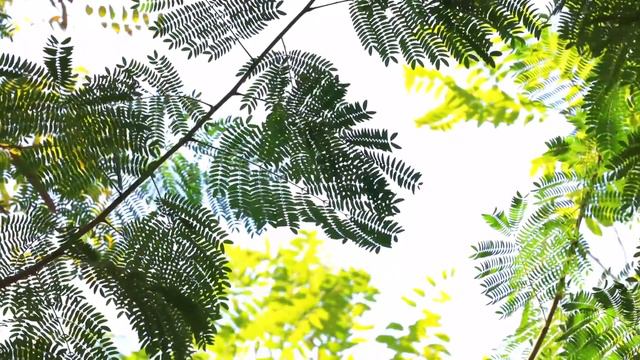 Господи, да он же совсем слабенький! Закричал парень, подбегая к медвежонку. Счет шел на минуты смотреть онлайн