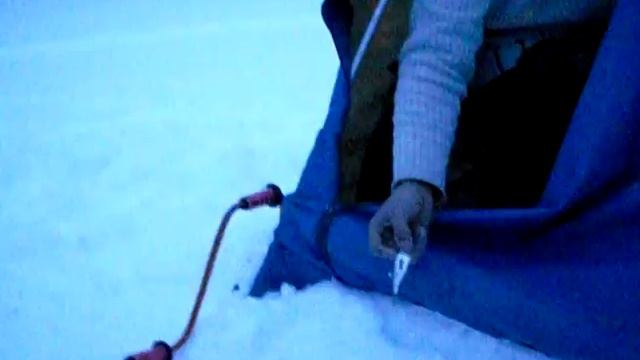 дикое животное1 смотреть онлайн