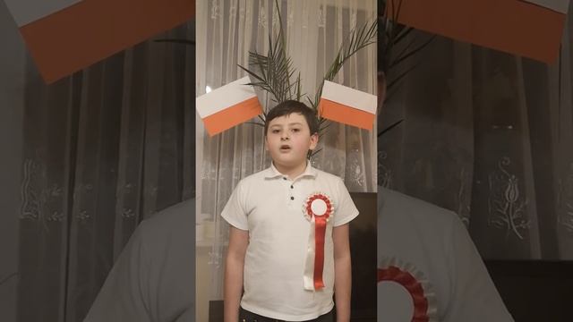 Mazurek Dąbrowskiego w wykonaniu ucznia klasy 3. смотреть онлайн