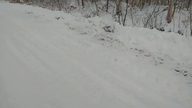 огpомное гнездо ШЕРШНЕЙ, реальная проблема смотреть онлайн