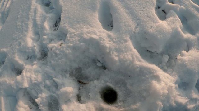 Ловля Окуня на Мормышку (Безмотылку). Окунь в Январе. Рыбалка в Глухозимье. смотреть онлайн