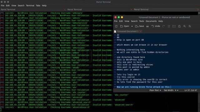 penetration testing basics #vulnhub смотреть онлайн