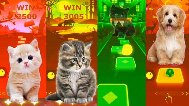 Cute Black Dog Cute Cats Vs Cute Puppy Lady Gaga Blody Marie Bongo Cat LISA MONEY TILES HOP#36 смотреть онлайн