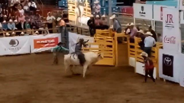 Mario Galindo Invitational 11 смотреть онлайн