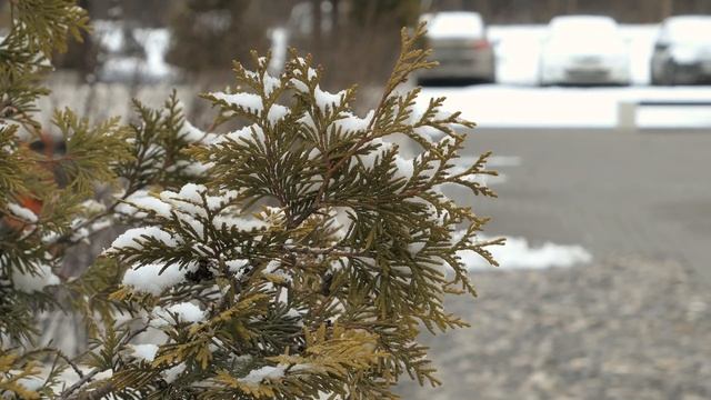 Как снимать в плохую погоду: B-Rolling In Terrible Weather (4K) смотреть онлайн