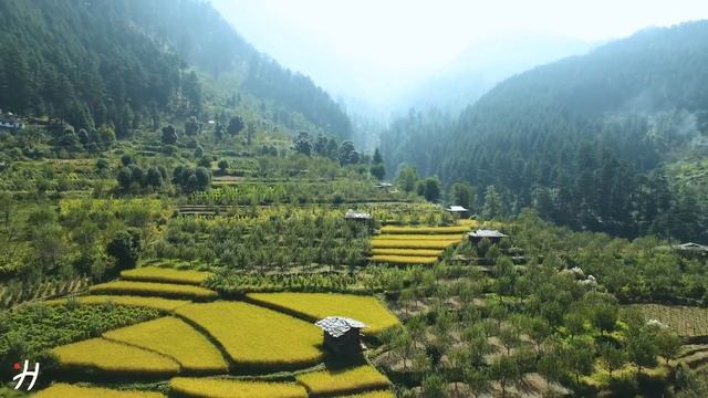 BALI INDONESIA - Relaxing music along with beautiful nature videos ( 4k Ultra HD ) смотреть онлайн