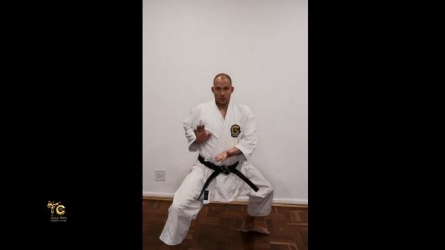 Goju Ryu Seiyunchin Kata Basics Part 1: A Detailed Introduction смотреть онлайн
