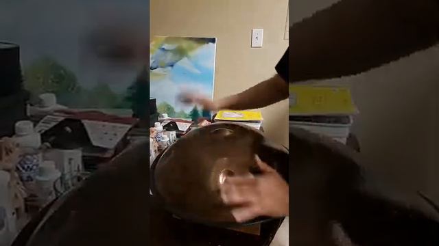 Sela SE 201 Harmony Handpan D Kurd  Stainless Steel