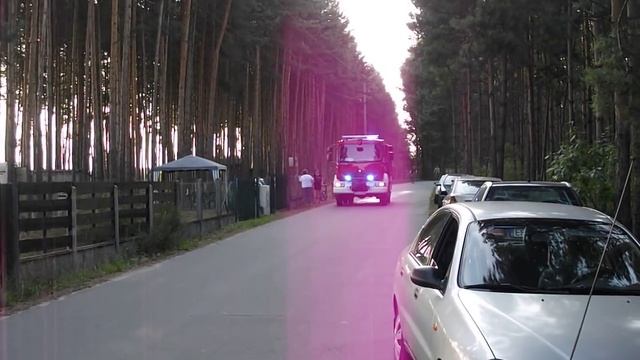 Dojazd alarmowy 491[S]21 Renault Midlum 300.14 DXi смотреть онлайн