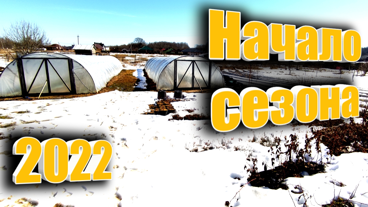 Начало сезона 2022. Как перезимовали саженцы. Belklubnika.by.mp4 смотреть онлайн