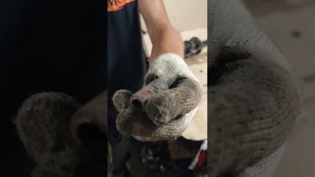 как разобрать заднюю стойку golf 3 passat b3 b4 смотреть онлайн