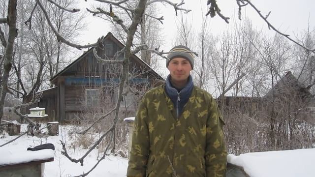 Чем заняться пчеловоду, когда зимуют пчелы. Советы начинающим пчеловодам. смотреть онлайн
