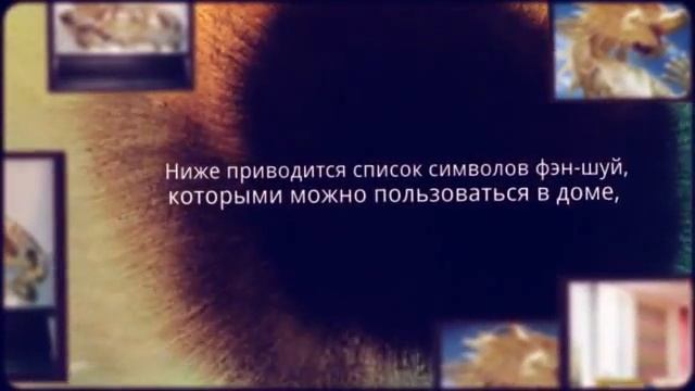 Символы Фэн шуй и их значение смотреть онлайн
