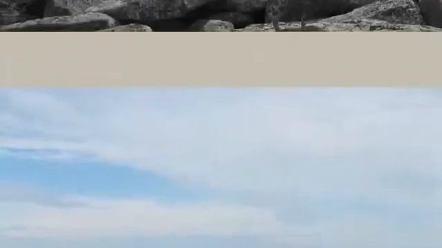 Сказочная тайга смотреть онлайн