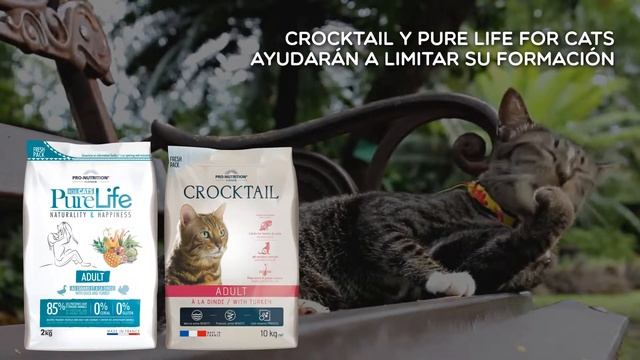 Pro Nutrition - Flatazor