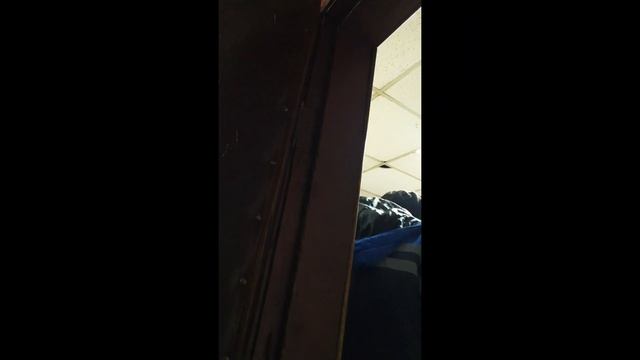 Реальный Мосгортранс смотреть онлайн