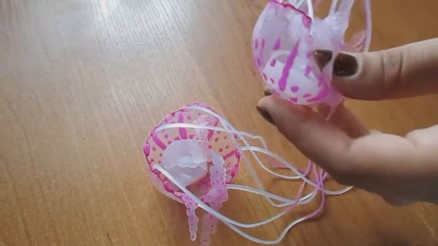 Медузы для аквариума