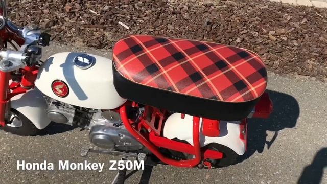 HONDA MONKEY Z50M