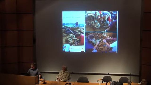 Conférence Carnyx Tintignac - Journées Nationales de l'Archéologie 2017 смотреть онлайн