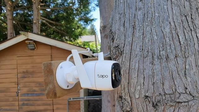3x TP-Link Tapo Smart Cameras Review - for Outdoor Security Use, Indoor Pan & Tilt AI смотреть онлайн