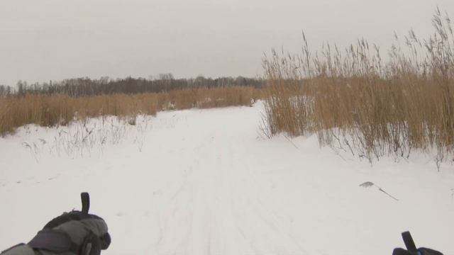 НА ЛЫЖАХ ПО БОЛОТУ ЧЕРЕЗ РЕКУ ЯУЗА. ПАРК ЛОСИНЫЙ ОСТРОВ. смотреть онлайн