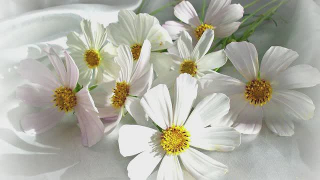 896. ♫.. André RieuI - «I Love You» смотреть онлайн