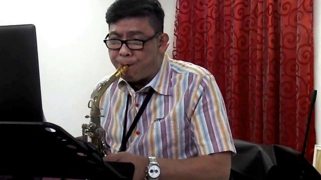 WE COULD HAVE IT ALL - Maureen McGovern (Lito Relativo Sax cover) смотреть онлайн