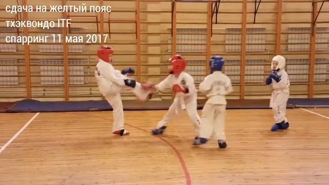 Аттестация на 8 гып (желтый пояс) смотреть онлайн