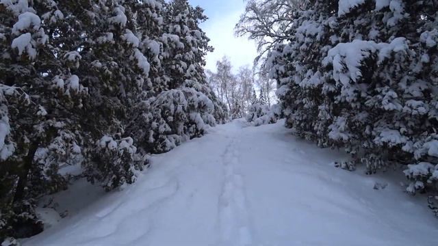 Весення видеозарисовка в дендрарии смотреть онлайн