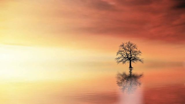 Infinite White - Steve Jablonsky смотреть онлайн