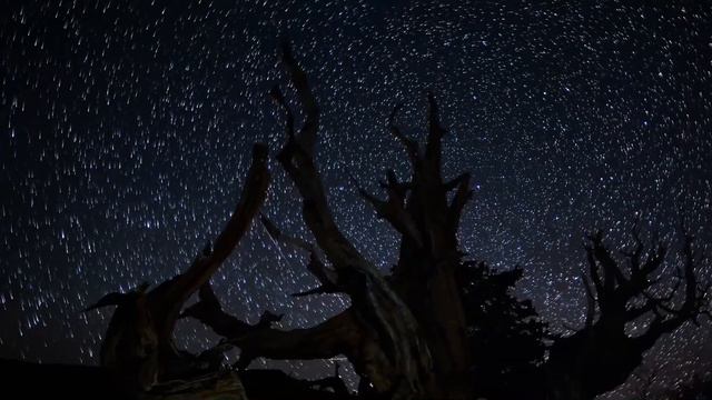 8DIO Score This: Constellations - Gary Kean - "Contact" смотреть онлайн