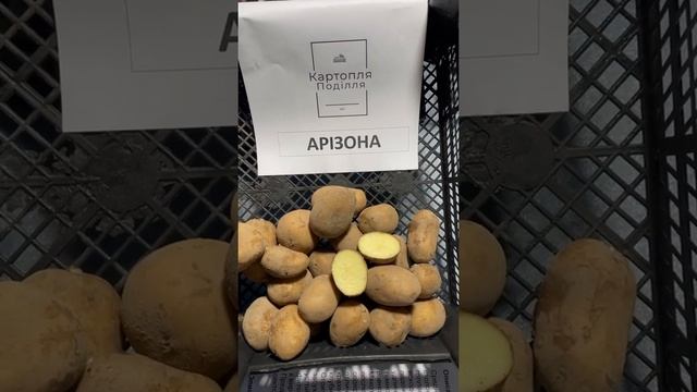 Семенной картофель Аризона смотреть онлайн